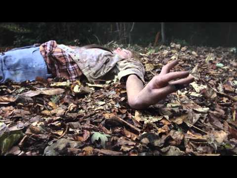 James Walsh - 'Start Again' [Official Video]