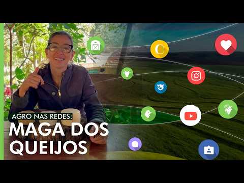 Produtora de Minas Gerais chama atenção nas redes com queijos artesanais