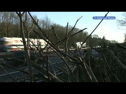 GLD Nieuws 24 maart 2011 - Nieuws