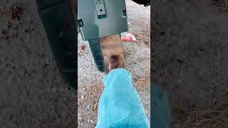 Download lagu Bagong mulai ngambek Short 2 mp3