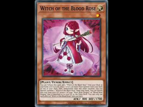 ????Rose deck????(????Valentines Day????Special)