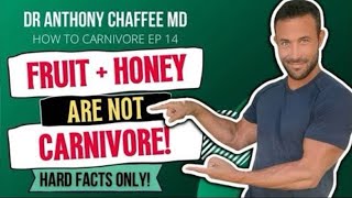 Fruit and Honey are NOT Carnivore!