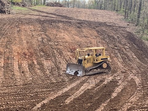Cat D6 moving mountains and pushing tree tops!!