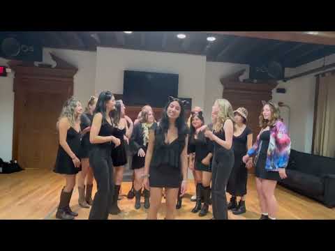 Dartmouth Decibelles - Like I Can