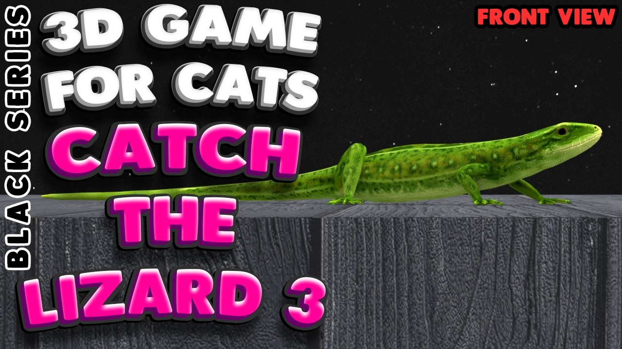 3D game for cats | CATCH THE LIZARD (front view) | 4K, 60 fps, stereo sound