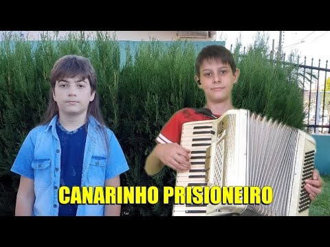 Gugu Gaiteiro - Canarinho Prisioneiro