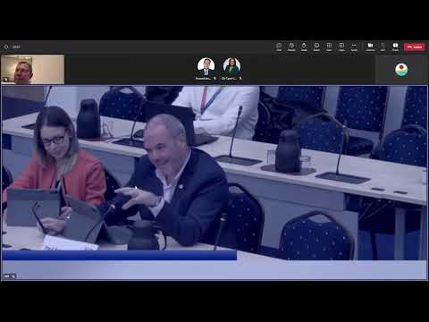 Scrutiny Budget & Performance Panel - 13 March 2023