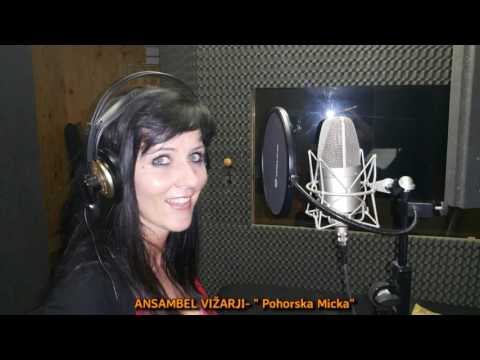 Ansambel Vižarji - Pohorska Micka (NOVO 2016)