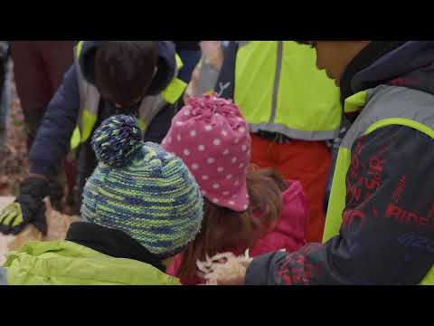 Ecole En Bouley (EEB) - coupe du premier arbre - événement 25.11.2022