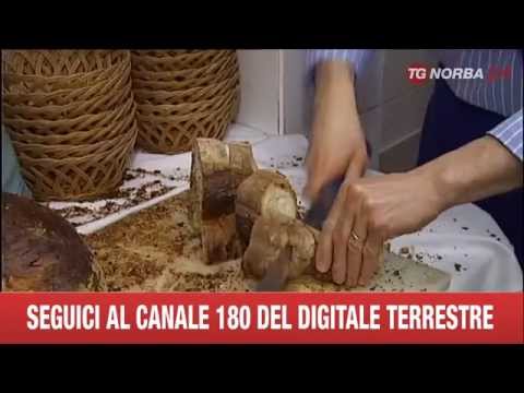 ROMA  GUIDA GAMBERO ROSSO PREMIO AI MIGLIORI RISTORANTI