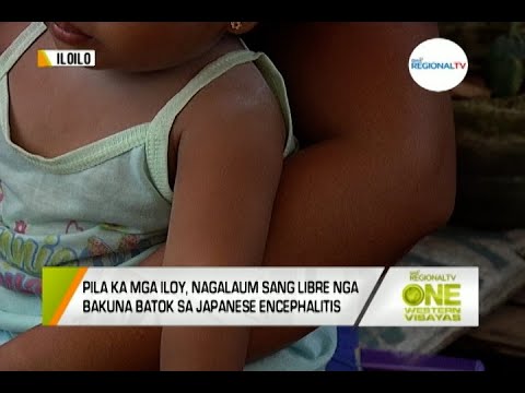 One Western Visayas: Pila ka mga Iloy, Nagalaum sang Libre nga Bakuna Batok sa Japanese Encephalitis