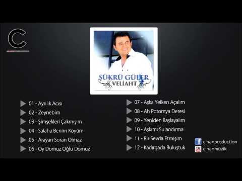 Şükrü Güler - Yeniden Başlayalım (Kemençe) ✔️