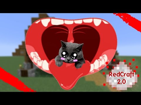 J'AI UN CHAT DANS LA ... REDCRAFT EP.18