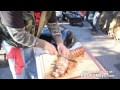 How to Grill Alligator Tenderloin | Recipe