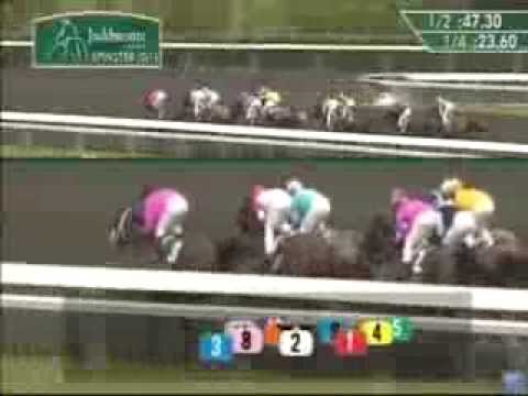 2013 Juddmonte Spinster Stakes - Emollient