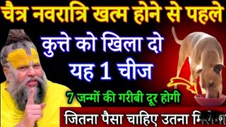Download lagu चैत्र नवरात्रि खत्म होने से पहले कुत्ते को खिलादो यह 1 चीज बिना कुछ करे सात पुश्ते धन खाएगी#navratri mp3
