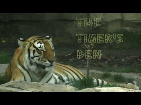 December 1st Power Trading Hour with David White on TFNN   2016