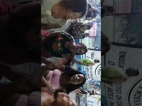 Aniversário do Dila 2024