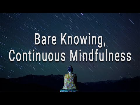Bare knowing Continuous Mindfulness (#5 The Four Foundations of Mindfulness) by Joseph Goldstein