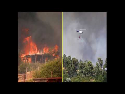 Senapred solicita evacuación de sector por incendio forestal en Catemu, Valparaíso // Noticias.lat