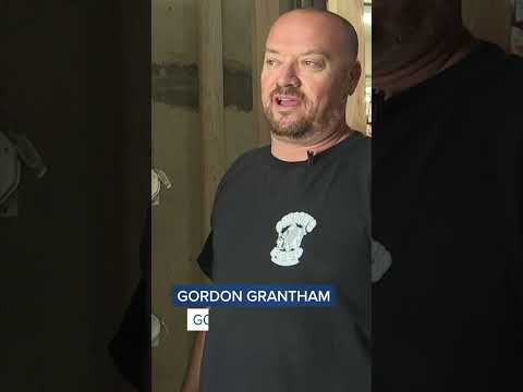 Soaring egg prices leading many to explore backyard chickens