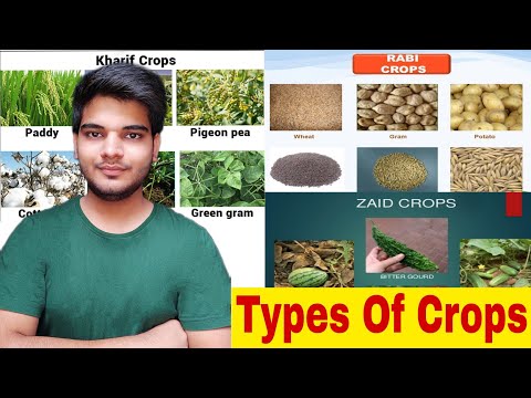 Agriculture kya hai what is Agriculture agriculture kise kahte hain agriculture k bare me