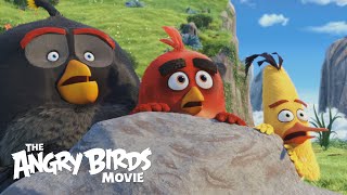 New 'The Angry Birds Movie' Trailer Released! 