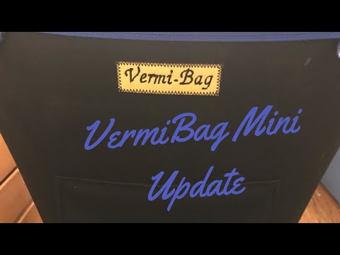 VermiBag Mini Update #indianblues #europeannightcrawlers