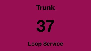 [SBS Transit] Trunk Bus Service 37 Hyperlapse