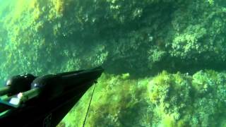 preview picture of video '-Prova Video Pesca Subacquea- Leggere Descrizione'