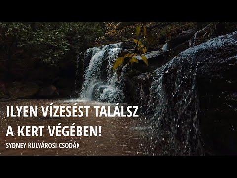 Elképesztő vízesés a kert végében! Sydney külvárosi csodák #utazás