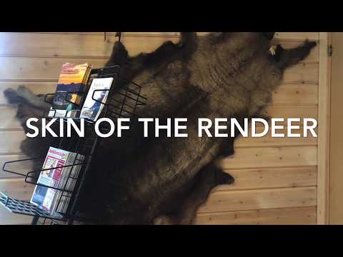 JOCKFALL SWEDEN || SALMON FISHING || LAPPLAND SWEDEN