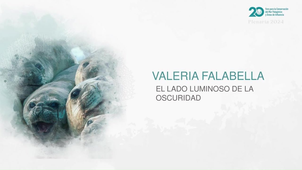 El lado luminoso de la oscuridad