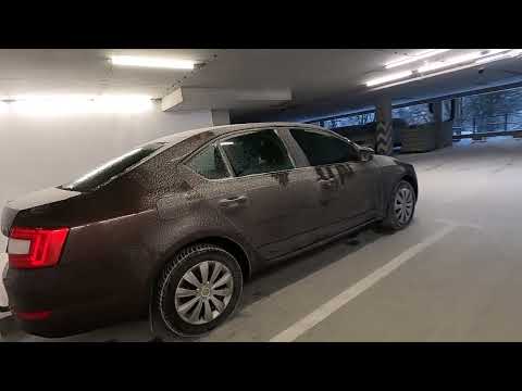 фото skoda octavia  0