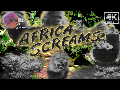AFRICA SCREAMS (1943) | Black & White | 4K Ultra HD | Bud Abbott | Lou Castillo | Classic Comedy