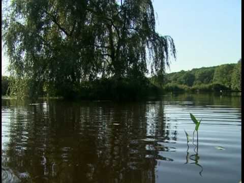 Zwini - Der Sommer mit dir