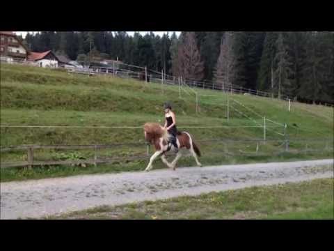 Farandi von St. Radegund