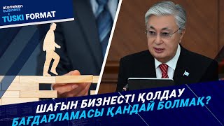 Президент тапсырмасы: Шағын бизнесті қолдау бағдарламасы қандай болмақ? 