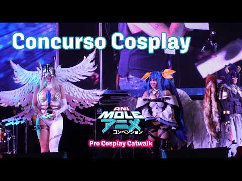Concurso Cosplay - Pro Cosplay Catwalk - Animole 2024