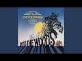 Any Moment / Moments in the Woods