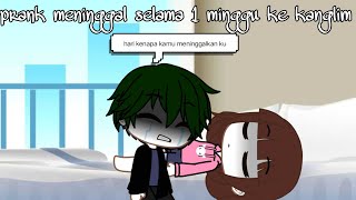 Download lagu prank meninggal selama 1 minggu ke kanglim Shinbi house mp3 Download lagu prank meninggal selama 1 minggu ke kanglim Shinbi house mp3