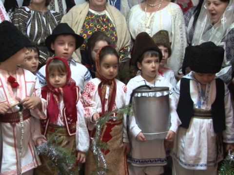 jurnal 19 12 2013 colind primarie stalpeni   mihaela ivascu