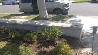 How to Plant For Your Future Garden