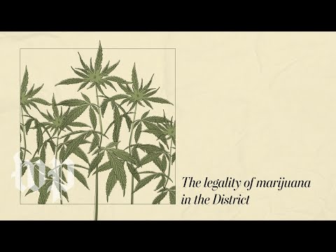 cannabis in washington d/c