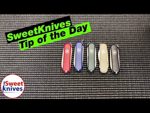Victorinox Swiss Army Knife Classic SD Tip of the Day