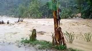 Download lagu keajaiban di pondok dabong pok teh kuala krai kelantan semasa banjir disember 2014 mp3 Download lagu keajaiban di pondok dabong pok teh kuala krai kelantan semasa banjir disember 2014 mp3