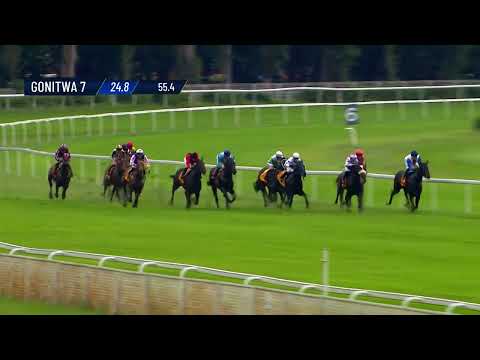 Nagroda Haracza (Specjalna) - (kat.B) - 07.06.2025