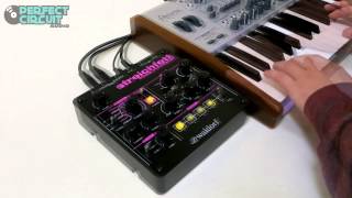 Video thumbnail for Waldorf Streichfett Demo by Perfect Circuit