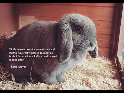 PHG Southampton video.