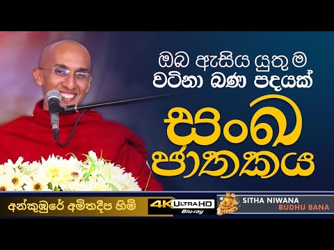 Ankumbure Amitha Deepa Himi #mahamevnawa Sinhala New Dharma Deshana | සංඛ ජාතකය